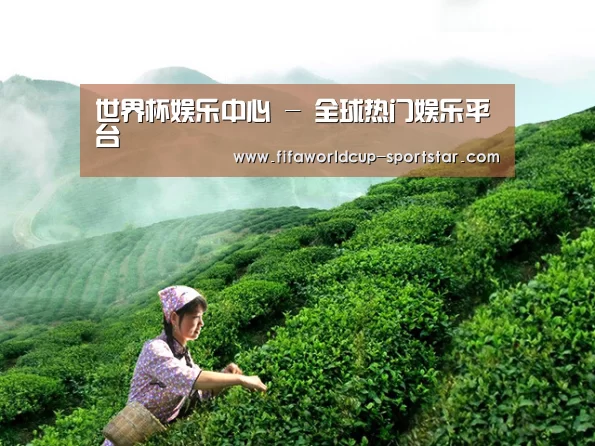 世界杯娱乐中心 - 全球热门娱乐平台