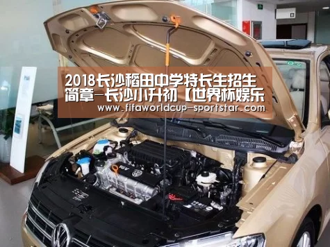 2018长沙稻田中学特长生招生简章-长沙小升初【世界杯娱乐中心】(图3) 世界杯足球直播