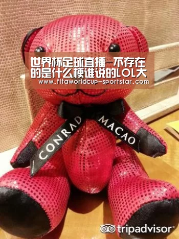 世界杯足球赛事