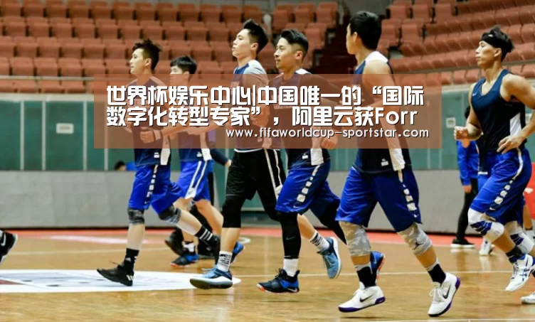 世界杯娱乐中心|中国唯一的“国际数字化转型专家”,阿里云获Forrester认可(图3) 世界杯足球赛事