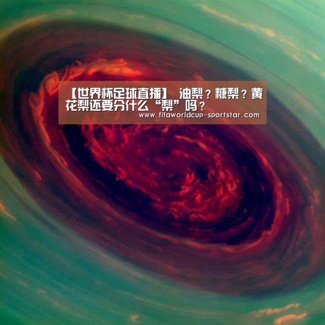 【世界杯足球直播】
油梨?糠梨?黄花梨还要分什么“梨”吗?(图1) 世界杯足球直播